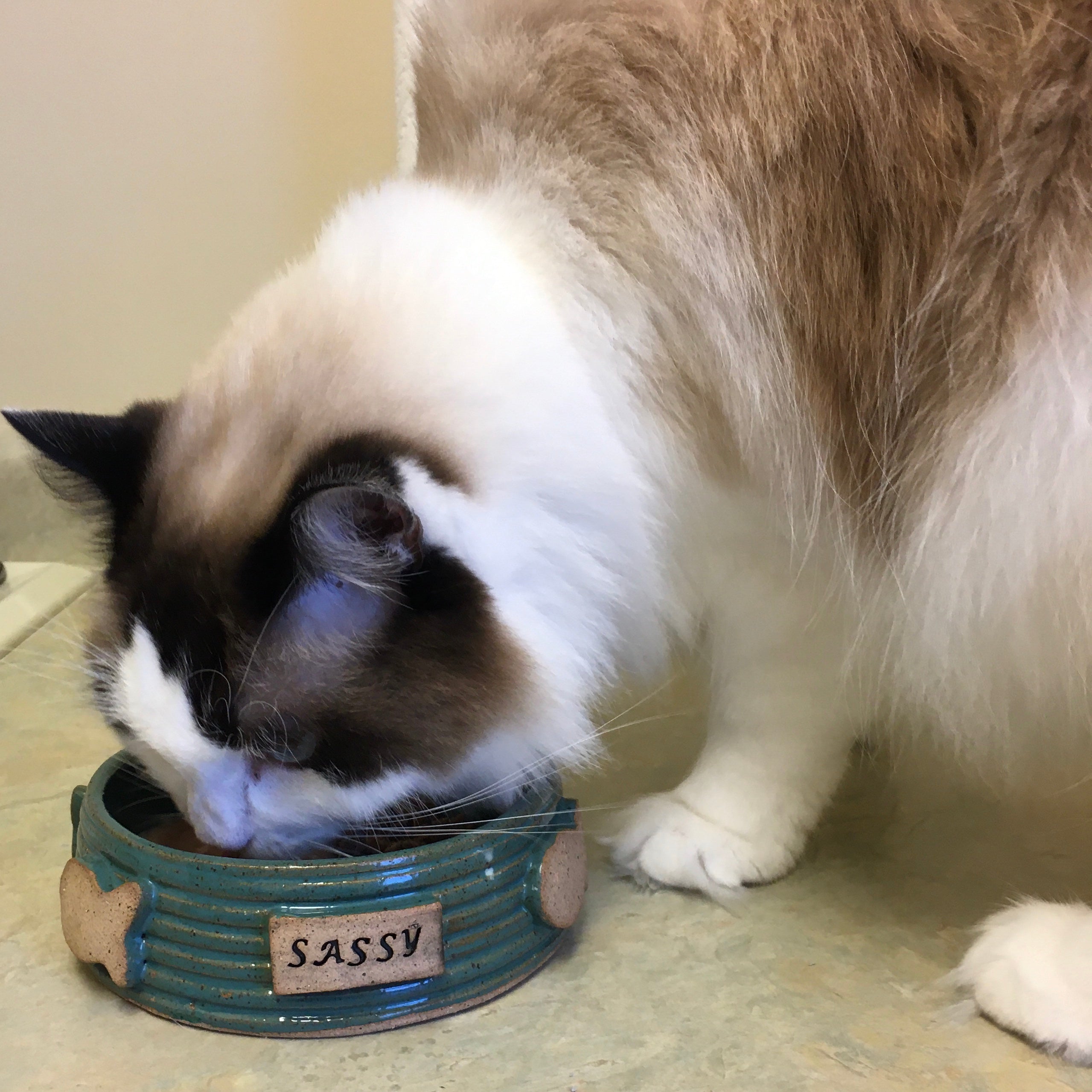 Extra small cheap dog bowls