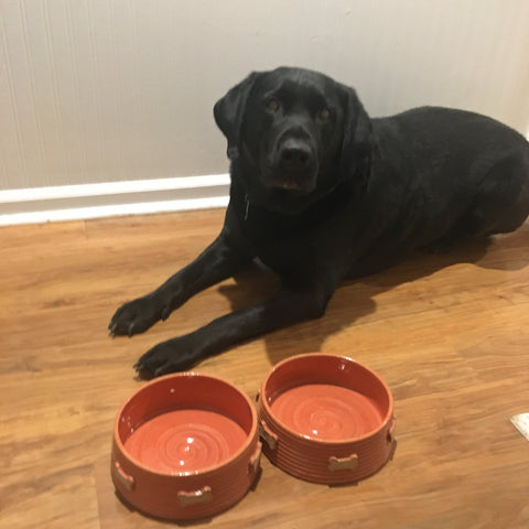 XL Pottery Pet Bowl - Repeating Dog Bone or Paw Print Pattern – Fatty Frog  Pots Handmade Pottery